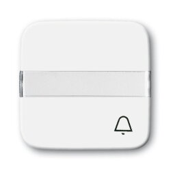 Busch-Jaeger 2506 N/KI-214 mit Beschriftung Wippe