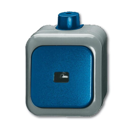 Busch-Jaeger 2621 WDI Taster