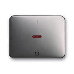 Busch-Jaeger 1788-20 Wippe