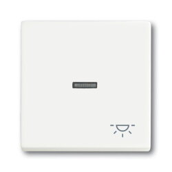 Busch-Jaeger 1789 LI-884 Symbol Licht Wippe