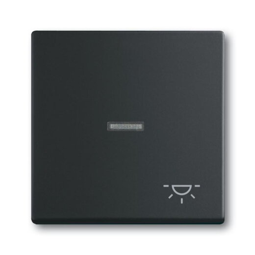 Busch-Jaeger 1789 LI-885 Symbol Licht Wippe