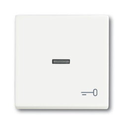 Busch-Jaeger 1789 TR-884 Symbol Schluessel Wippe