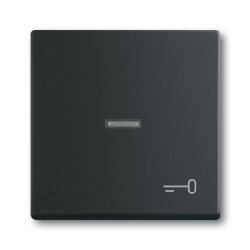 Busch-Jaeger 1789 TR-885 Symbol Schluessel Wippe