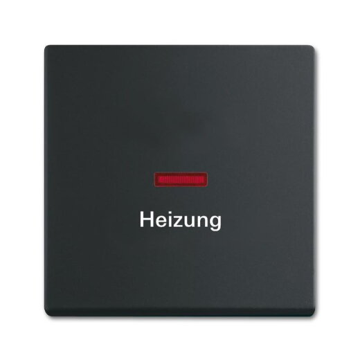 Busch-Jaeger 1789 H-885 Wippe