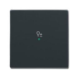 Busch-Jaeger 6234-10-81 1fach Symbol Dimmer Wippe