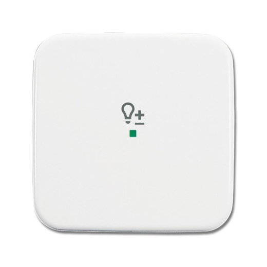 Busch-Jaeger 6234-10-214 1fach Symbol Dimmer Wippe