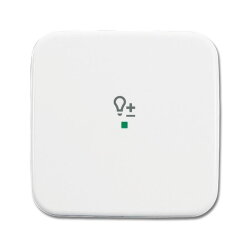 Busch-Jaeger 6234-10-214 1fach Symbol Dimmer Wippe