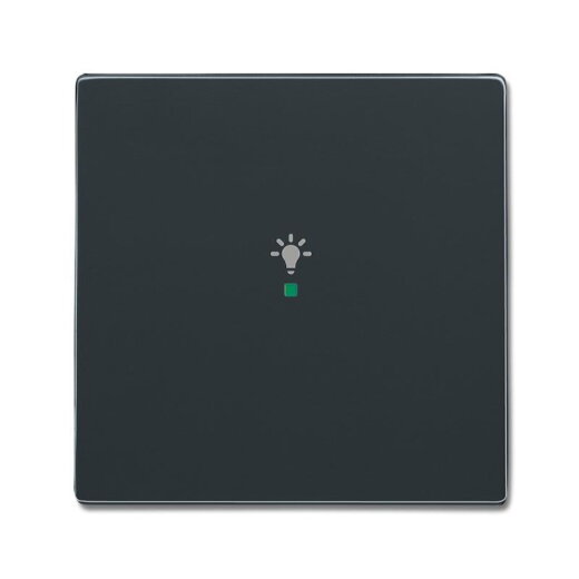 Busch-Jaeger 6231-10-81 1fach Symbol Licht Wippe