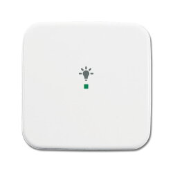 Busch-Jaeger 6231-10-214 1fach Symbol Licht Wippe