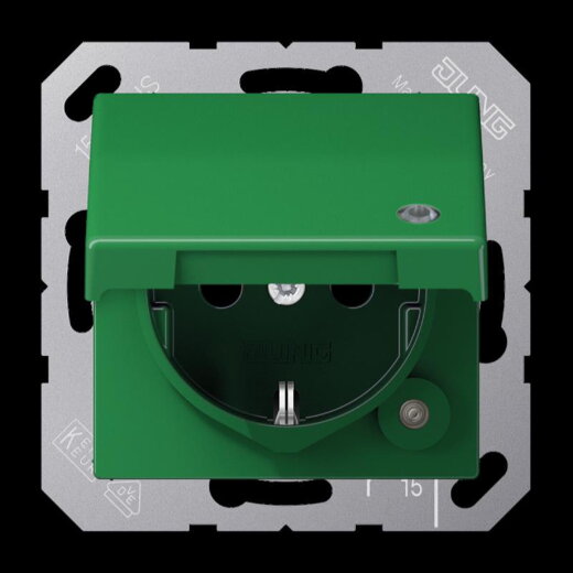 Jung SCHUKO Steckdose, 16 A 250 V ~, ohne Krallen, mit Funktionsanzeige, Thermoplast, Serie A AS1520BFKLKOGN