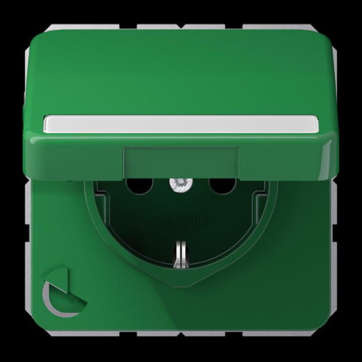 Jung SCHUKO Steckdose, 16 A 250 V ~, mit Schriftfeld, Thermoplast, Serie CD, grün (für SV) CD1520BFNAKLGN