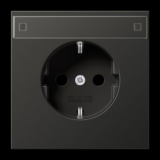 Jung SCHUKO Steckdose, 16 A 250 V ~, mit Schriftfeld, Aluminium lackiert, Serie LS, anthrazit AL1520NAAN