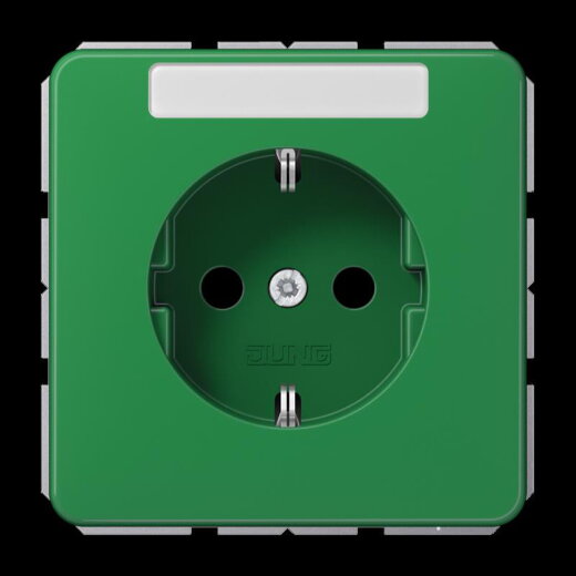 Jung SCHUKO Steckdose, 16 A 250 V ~, mit Schriftfeld, Thermoplast, Serie CD, grün (für SV) CD1520BFNAGN