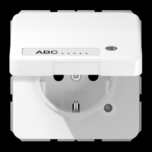 Jung SCHUKO Steckdose, 16 A 250 V ~, ohne Krallen, mit Funktionsanzeige, mit Schriftfeld, The CD1520NAKLKOWW