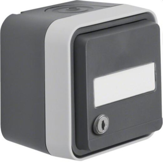 Berker SCHUKO-Steckdose M347893505 lichtgrau