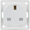 Berker Steckdose M3962622502 polarweiss matt British