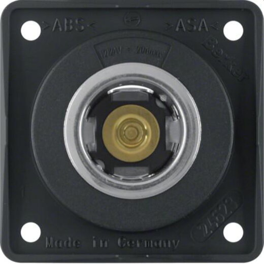 Berker Steckdose M3845712503 12V schwarz matt