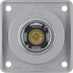 Berker Steckdose M3845712507 12V grau glaenzend