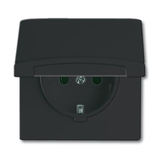 Busch-Jaeger 20 EUGK-35-101 AW44 Steckdose