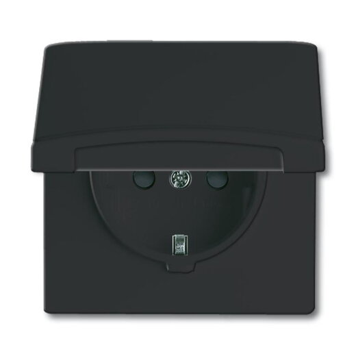 Busch-Jaeger 20 EUGKB-35-101 AW44 Steckdose