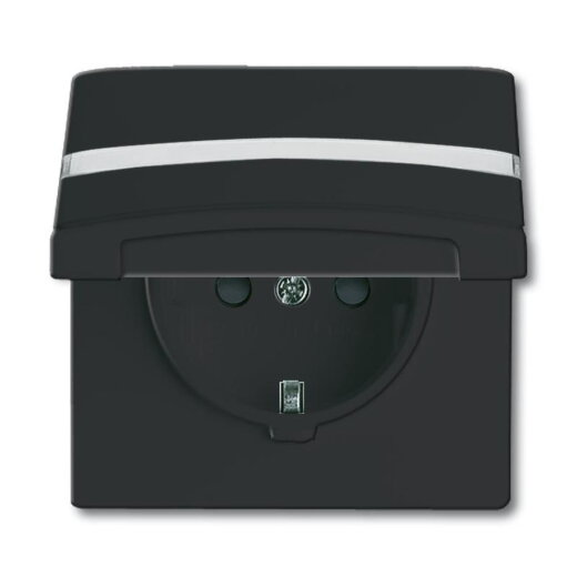 Busch-Jaeger 20 EUGKBN-35-101 AW44 Steckdose