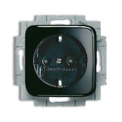 Busch-Jaeger 20 EUCKS-215 SCHUKO-Steckdoseneinsatz