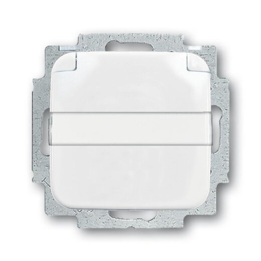 Busch-Jaeger 20 EUKNB-214 Klappdeckel Namenschild SCHUKO-Steckdose