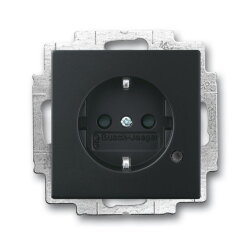 Busch-Jaeger 20 EUCBL-885 LED Kontrolllicht SCHUKO-Steckdose