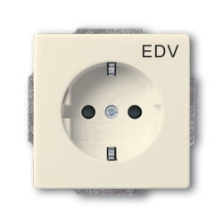 Busch-Jaeger 20 EUCKS/DV-82 Steckdoseneinsatz