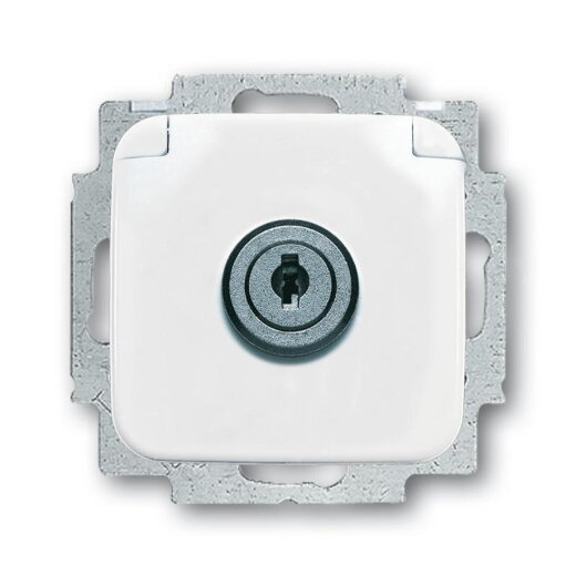 Busch-Jaeger 20 EUKSL-214 SCHUKO-Steckdose