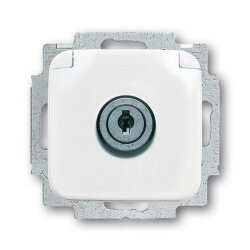 Busch-Jaeger 20 EUKSL-214 SCHUKO-Steckdose