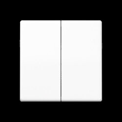 Jung LB-Management Taster 2fach, Duroplast, Serie AS,...