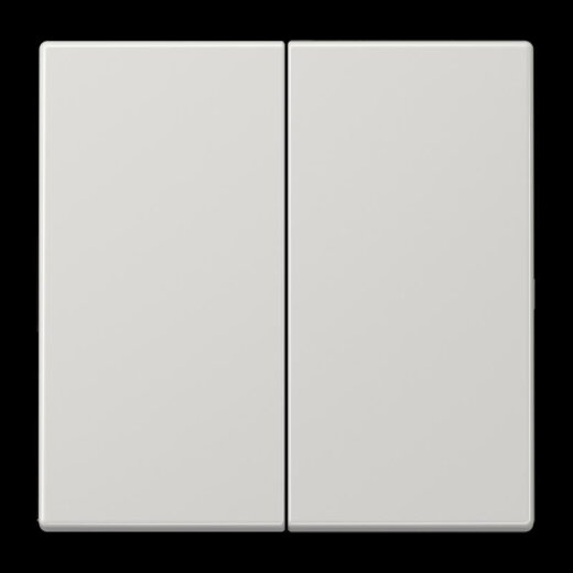 Jung LB-Management Taster 2fach, Duroplast, Serie LS, lichtgrau LS1702LG