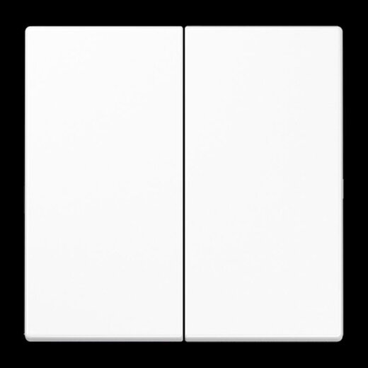 Jung LB-Management Taster 2fach, Duroplast, Serie LS, alpinweiß LS1702WW