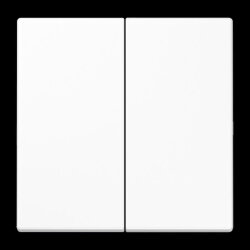 Jung LB-Management Taster 2fach, Duroplast, Serie LS,...