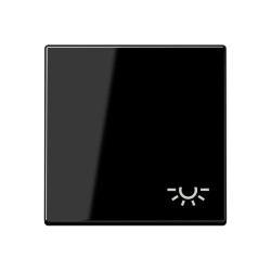 Jung Wippe 1fach, Symbol Licht, Thermoplast, Serie A,...