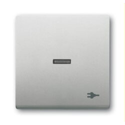 Busch-Jaeger Wippe 1789 ST-866 mit Symbol Stecker, edelstahl