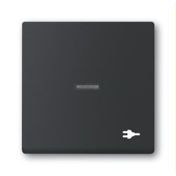 Busch-Jaeger Wippe 1789 ST-885 mit Symbol Stecker,...