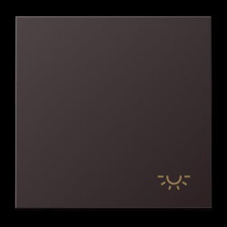 Jung Wippe 1fach, Symbol Licht, Aluminium lackiert, Serie...