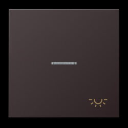 Jung Wippe 1fach mit Lichtleiter, Symbol Licht, Aluminium...