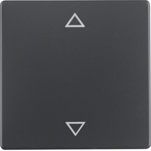 Berker Wippe 16206076 Symbol Pfeile anthrazit samt 16206076