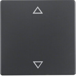 Berker Wippe 16206076 Symbol Pfeile anthrazit samt 16206076