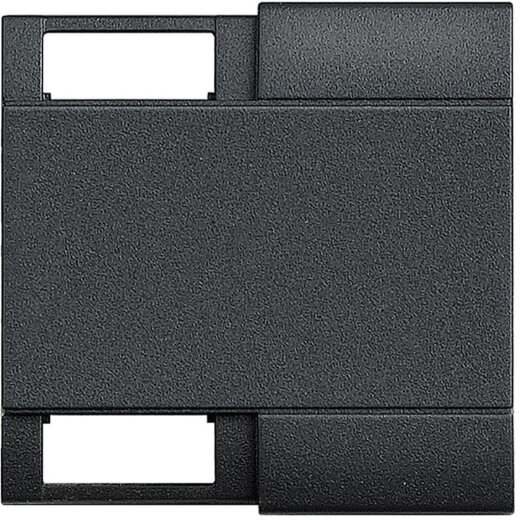 Bticino Wippe L4911M2TN 2mod anthrazit