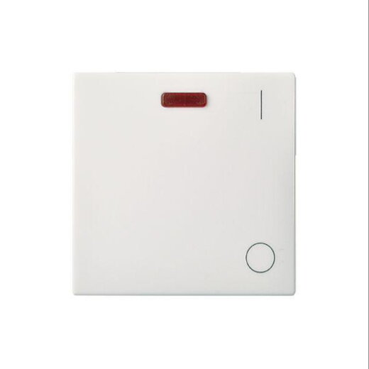 ELSO Wippe 273214 Kontrollaussch. 2polig reinweiß
