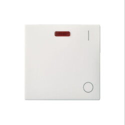 ELSO Wippe 273214 Kontrollaussch. 2polig reinweiß