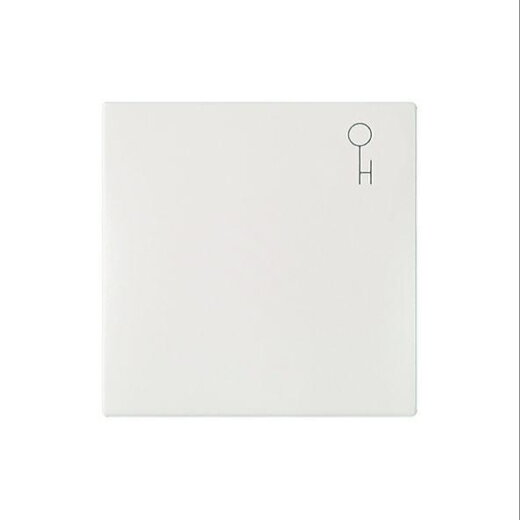 ELSO Wippe 273124  Symbol Schlüssel JOY rw