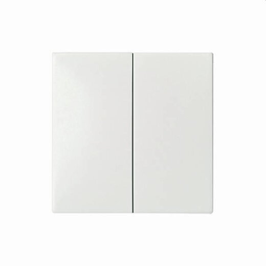 ELSO Wippe 273504 Seriensch./Doppeltaster JOY rw