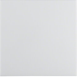 Berker Wippe 16298989 S.1 IP44 polarweiß...