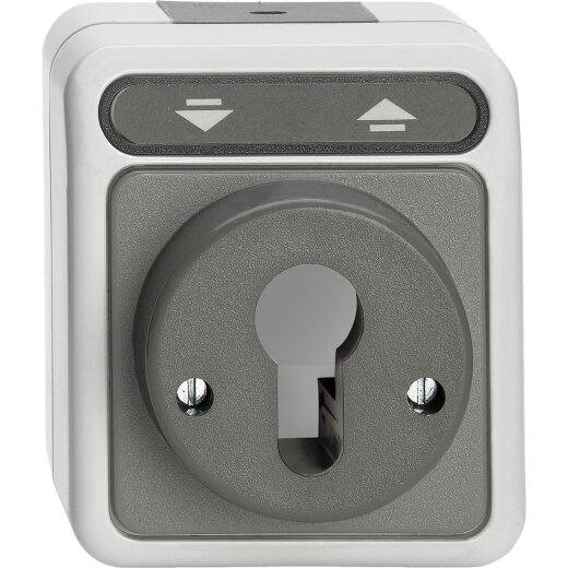 Merten Rollladentaster MEG3718-8029 lichtgrau