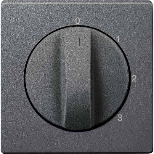 Merten Zentralplatte 437314anthrazit System M